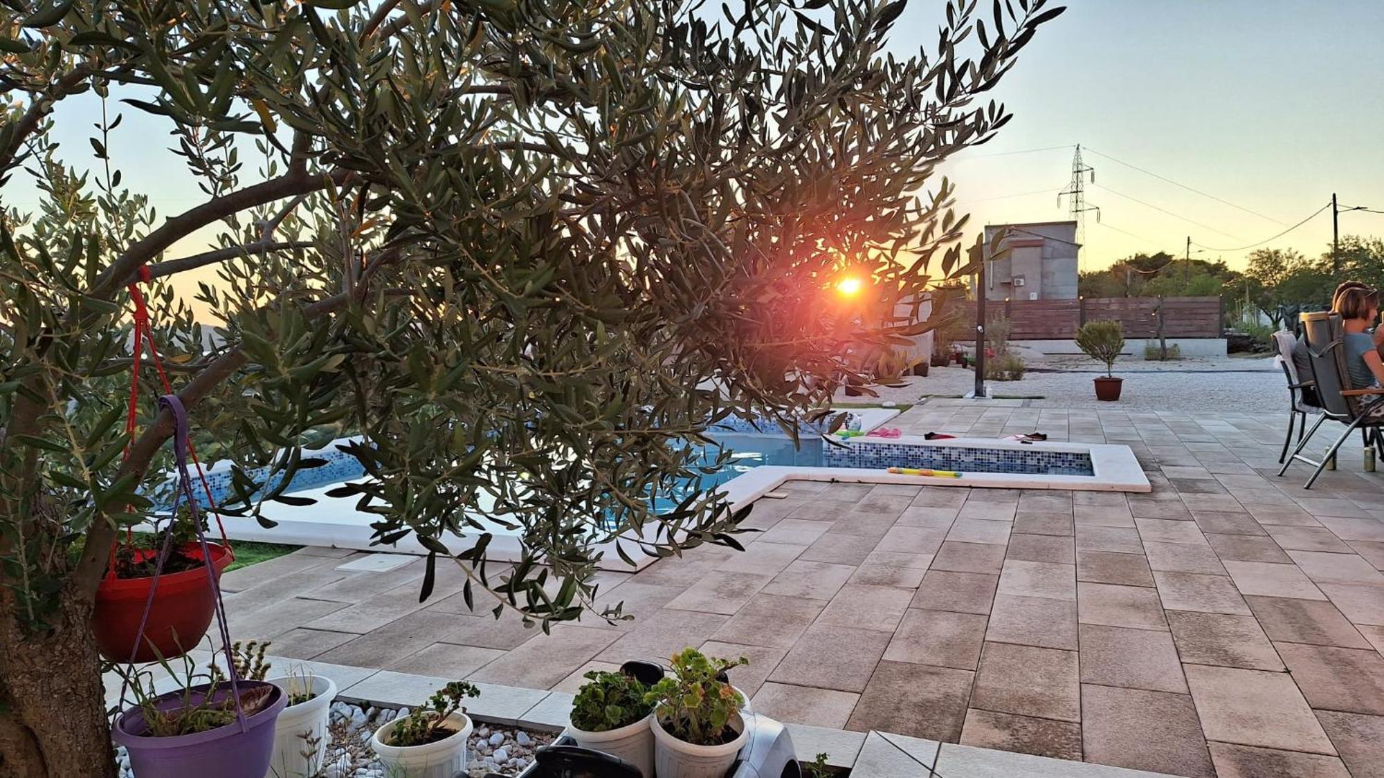 Villa Scolopax Rusticola Skradin With Heated Pool Exterior foto